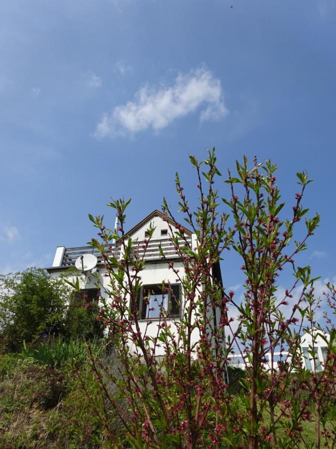 Kellerstoeckl Eisenberg/Pinka Weiner Villa Eisenberg an der Pinka Luaran gambar
